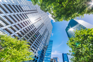 Cityscape photo with trees