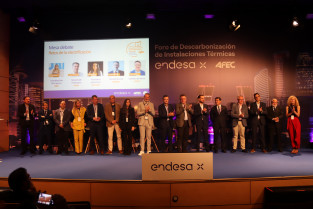 Afec Endesa 1